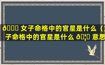 🍀 女子命格中的官星是什么（女子命格中的官星是什么 🦁 意思）